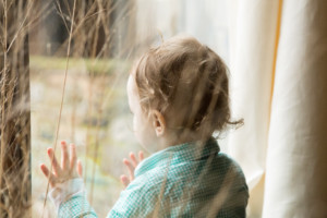 Blue Hill Nibble and Squeak