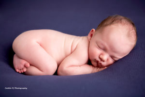 newborn portrait