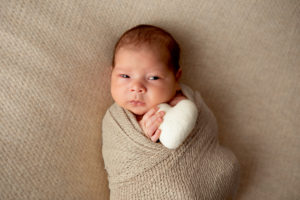 newborn portraits