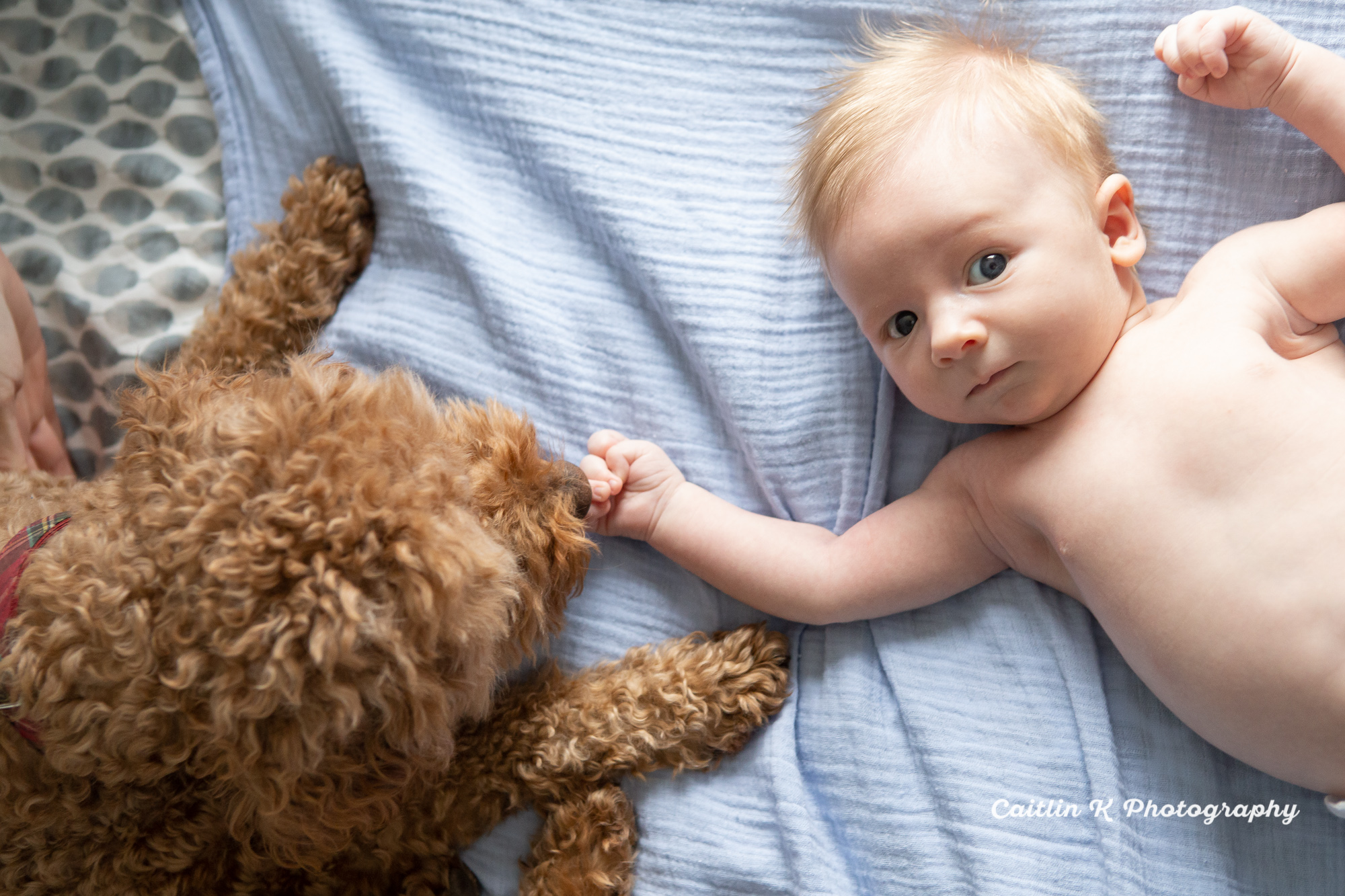 newborn and dog