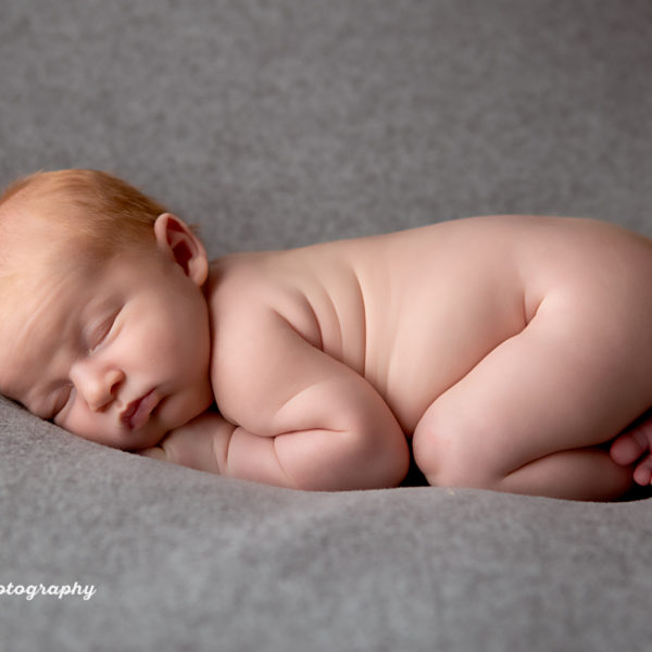 newborn photos