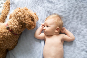 newborn and dog portrait
